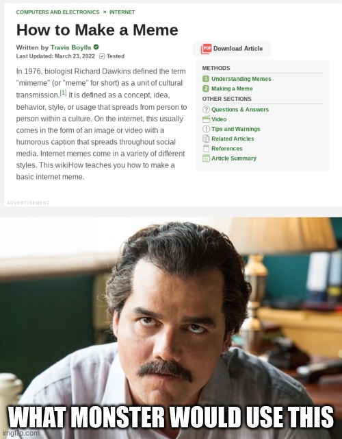 WHAT MONSTER WOULD USE THIS | image tagged in unsettled escobar | made w/ Imgflip meme maker