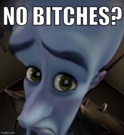 no bitches megamind | image tagged in no bitches megamind | made w/ Imgflip meme maker
