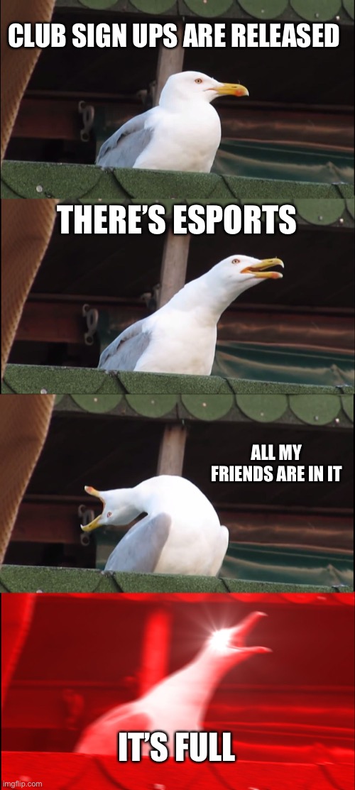 High school in a nutshell | CLUB SIGN UPS ARE RELEASED; THERE’S ESPORTS; ALL MY FRIENDS ARE IN IT; IT’S FULL | image tagged in memes,inhaling seagull | made w/ Imgflip meme maker