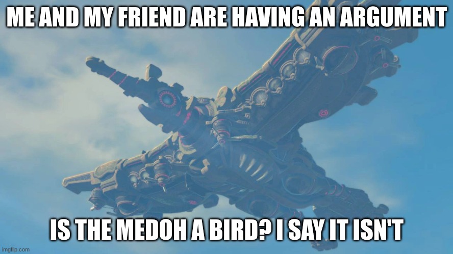 Bird, or airship? | ME AND MY FRIEND ARE HAVING AN ARGUMENT; IS THE MEDOH A BIRD? I SAY IT ISN'T | image tagged in legend of zelda | made w/ Imgflip meme maker