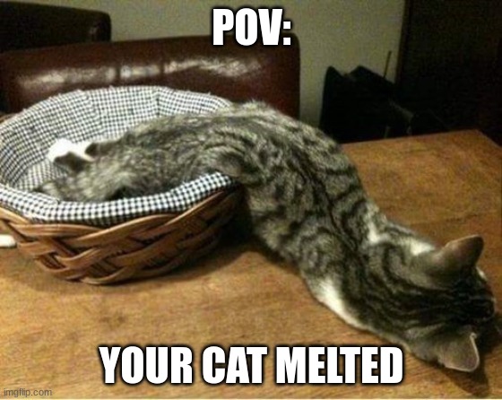 cats | POV:; YOUR CAT MELTED | image tagged in melted boi | made w/ Imgflip meme maker