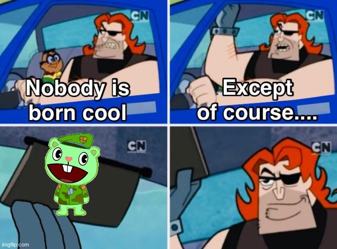 Flippy was Born Cool | image tagged in nobody is born cool | made w/ Imgflip meme maker