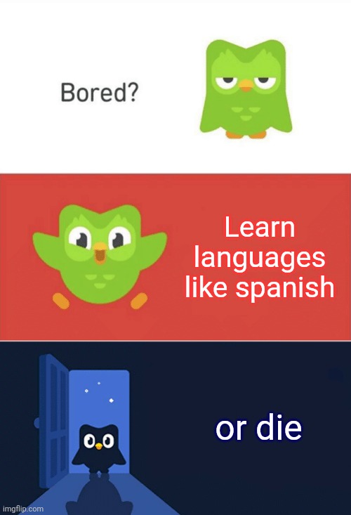 bored? | Learn languages like spanish; or die | image tagged in duolingo bored 3-panel | made w/ Imgflip meme maker