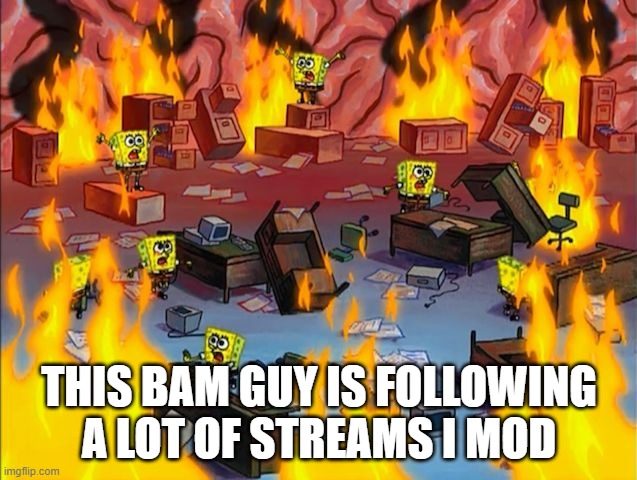 The only one that correlates with MSMG is MS2 | THIS BAM GUY IS FOLLOWING A LOT OF STREAMS I MOD | image tagged in spongebob fire | made w/ Imgflip meme maker