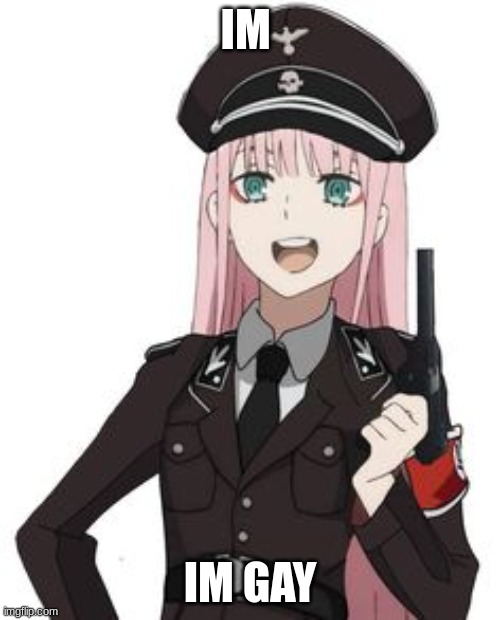 Ideal gf | IM; IM GAY | image tagged in nazi waifu | made w/ Imgflip meme maker