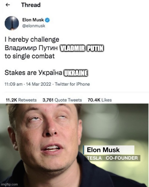 VLADMIR  PUTIN; UKRAINE | image tagged in elon musk | made w/ Imgflip meme maker