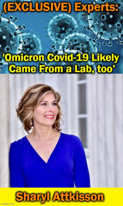 UNTOUCHABLE SUBJECTS. FEARLESS, NONPARTISAN REPORTING. Sharyl Attkisson | (EXCLUSIVE) Experts:; 'Omicron Covid-19 Likely 
Came From a Lab, too’; Sharyl Attkisson | image tagged in politics,omicron,covid-19,news you can use,stop the insanity,what about consequences | made w/ Imgflip meme maker