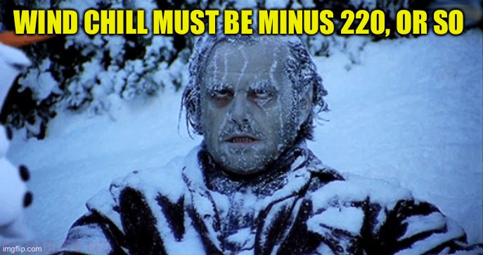 Freezing cold | WIND CHILL MUST BE MINUS 220, OR SO | image tagged in freezing cold | made w/ Imgflip meme maker