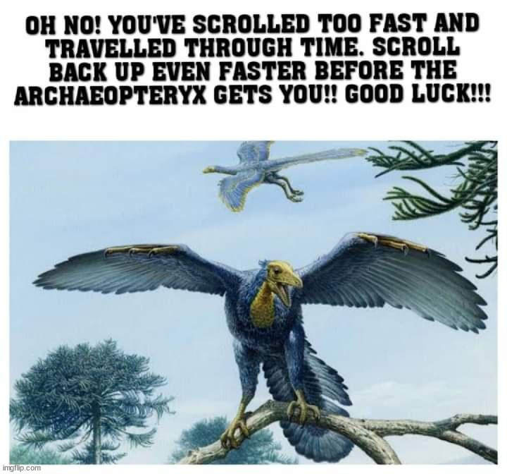 image tagged in repost | made w/ Imgflip meme maker