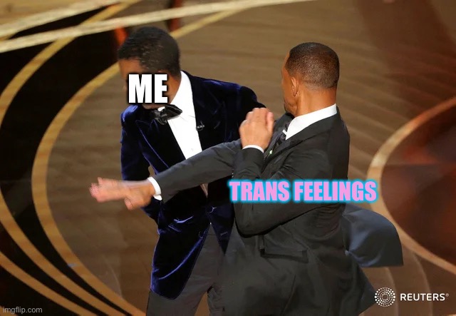 Me when I released I was transgender | ME; TRANS FEELINGS | image tagged in will smith punching chris rock,transgender,lgbtq | made w/ Imgflip meme maker