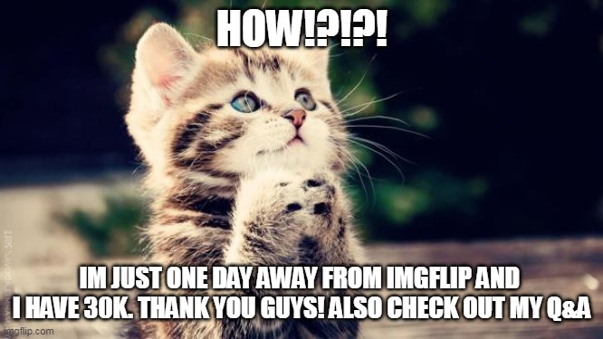 30K | HOW!?!?! IM JUST ONE DAY AWAY FROM IMGFLIP AND 
I HAVE 30K. THANK YOU GUYS! ALSO CHECK OUT MY Q&A | image tagged in 30k,cats,memes,funny,ukrainian lives matter | made w/ Imgflip meme maker