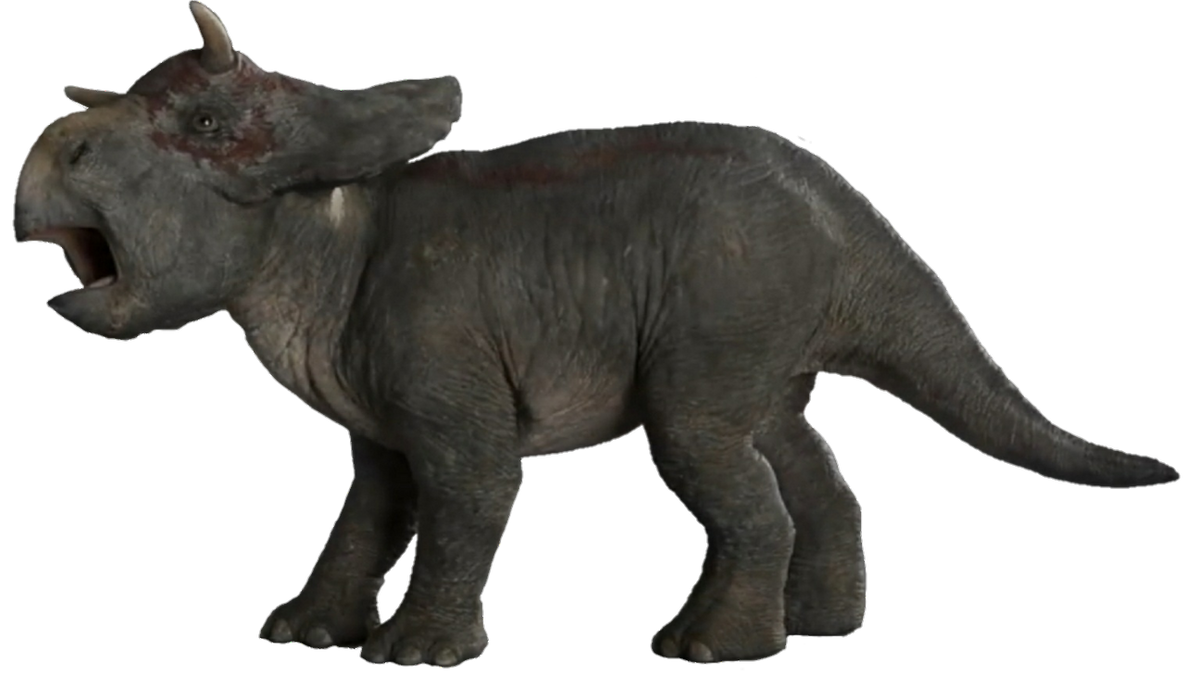 Baby Nasutoceratops Blank Meme Template