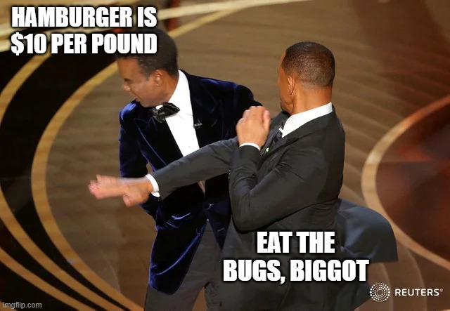 no meat for you | HAMBURGER IS $10 PER POUND; EAT THE BUGS, BIGGOT | image tagged in will smith punching chris rock | made w/ Imgflip meme maker