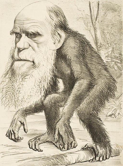 Darwin Blank Meme Template