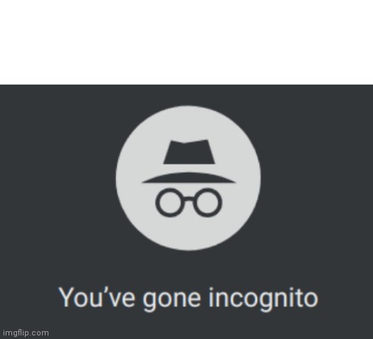 You've gone incognito | image tagged in you've gone incognito | made w/ Imgflip meme maker