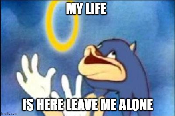 sonic derp views | MY LIFE; IS HERE LEAVE ME ALONE | image tagged in sonic derp,rings | made w/ Imgflip meme maker