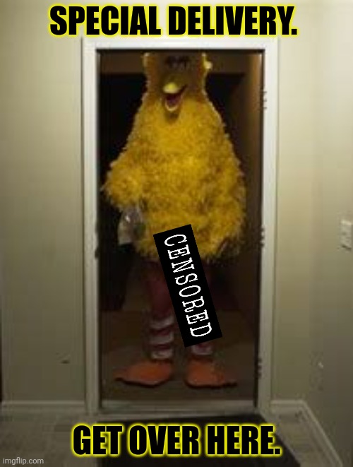 But why? Why would you do that? | SPECIAL DELIVERY. GET OVER HERE. | image tagged in big bird door,expand dong,giant,bird,sesame street | made w/ Imgflip meme maker
