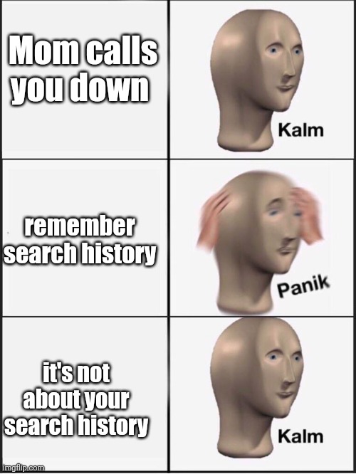 Kalm panik kalm | Mom calls you down remember search history it's not about your search history | image tagged in kalm panik kalm | made w/ Imgflip meme maker