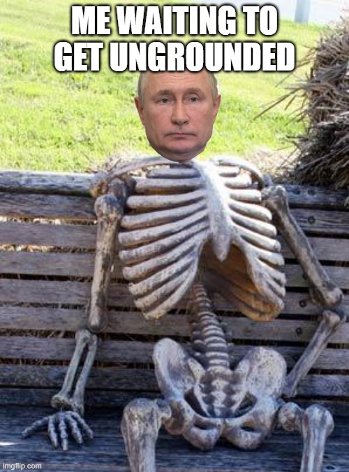 Waiting Skeleton |  ME WAITING TO GET UNGROUNDED | image tagged in memes,waiting skeleton | made w/ Imgflip meme maker