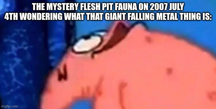Patrick looking up | THE MYSTERY FLESH PIT FAUNA ON 2007 JULY 4TH WONDERING WHAT THAT GIANT FALLING METAL THING IS: | image tagged in patrick looking up | made w/ Imgflip meme maker