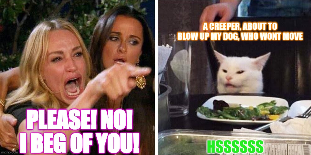 Smudge the cat | A CREEPER, ABOUT TO BLOW UP MY DOG, WHO WONT MOVE; PLEASE! NO! I BEG OF YOU! HSSSSSS | image tagged in smudge the cat | made w/ Imgflip meme maker