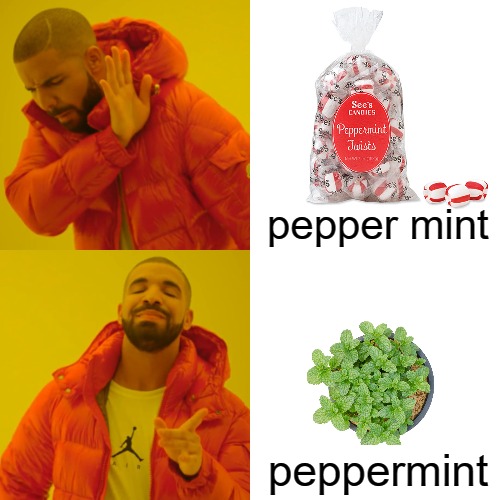 kidnapping words | pepper mint; peppermint | image tagged in drake hotline bling,drake | made w/ Imgflip meme maker