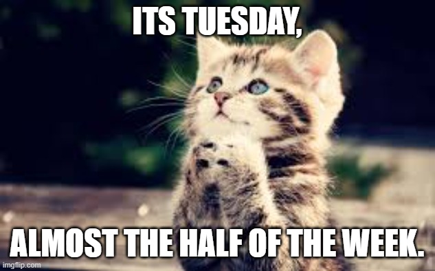 prayer | ITS TUESDAY, ALMOST THE HALF OF THE WEEK. | image tagged in prayer | made w/ Imgflip meme maker