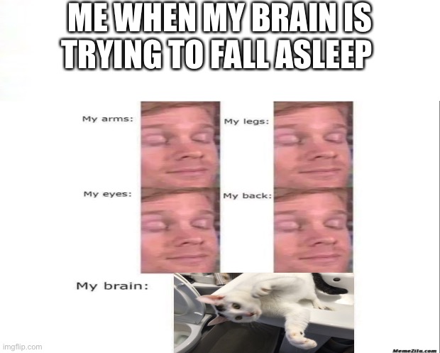 Brain b like | ME WHEN MY BRAIN IS TRYING TO FALL ASLEEP | image tagged in funny memes | made w/ Imgflip meme maker