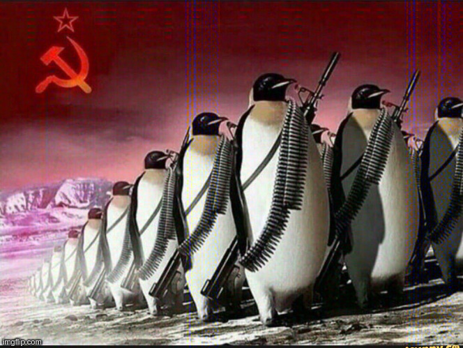 Penguin army | image tagged in penguin army | made w/ Imgflip meme maker