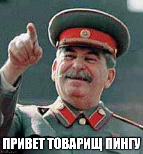Stalin says | ПРИВЕТ ТОВАРИЩ ПИНГУ | image tagged in stalin says | made w/ Imgflip meme maker
