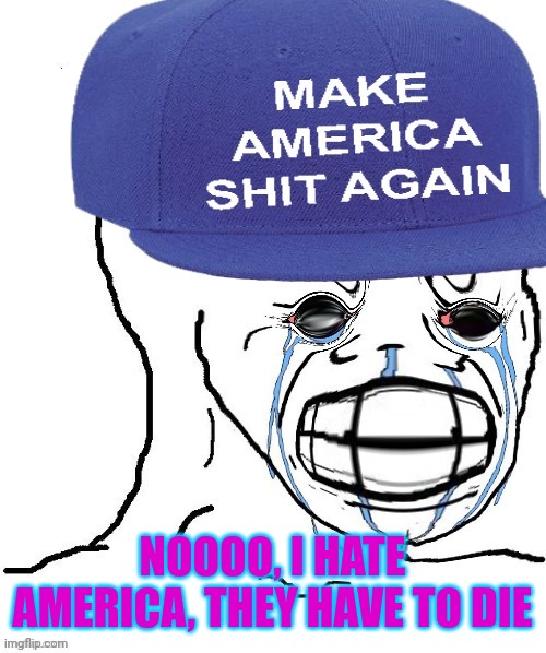 mad wojak | NOOOO, I HATE AMERICA, THEY HAVE TO DIE | image tagged in mad wojak | made w/ Imgflip meme maker