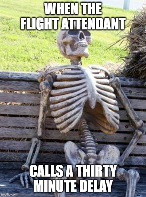 Waiting Skeleton | WHEN THE FLIGHT ATTENDANT; CALLS A THIRTY MINUTE DELAY | image tagged in memes,waiting skeleton | made w/ Imgflip meme maker