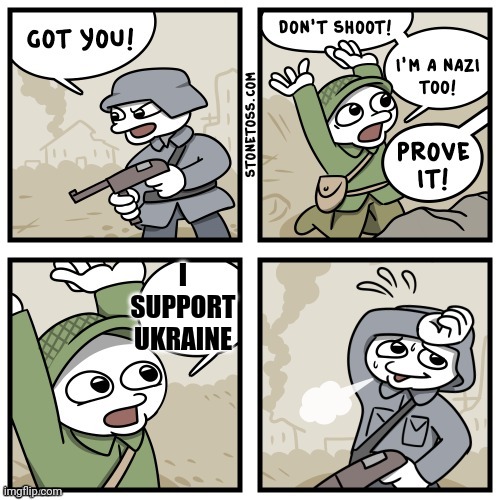 Support Ukraine now dammit. | I SUPPORT UKRAINE | image tagged in i'm a nazi too,ukraine,azov | made w/ Imgflip meme maker