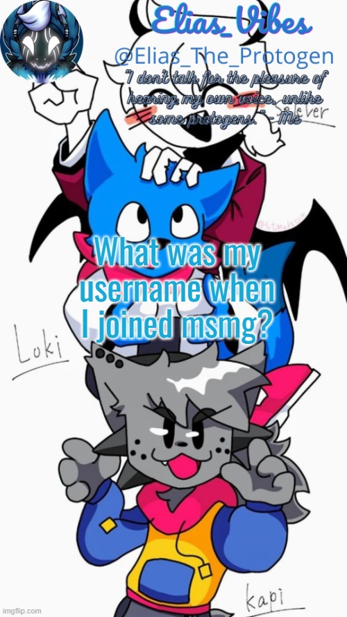 If someone gets it i will reveal my irl name | What was my username when I joined msmg? | image tagged in loki kapi and selever temp | made w/ Imgflip meme maker