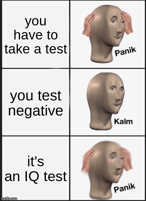 Me IRL | you have to take a test; you test negative; it's an IQ test | image tagged in memes,panik kalm panik | made w/ Imgflip meme maker