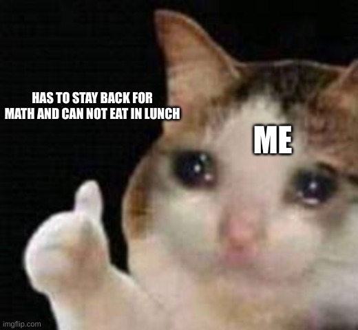this happend today :'D | HAS TO STAY BACK FOR MATH AND CAN NOT EAT IN LUNCH; ME | image tagged in approved crying cat | made w/ Imgflip meme maker