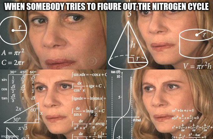 Calculating meme | WHEN SOMEBODY TRIES TO FIGURE OUT THE NITROGEN CYCLE | image tagged in calculating meme | made w/ Imgflip meme maker