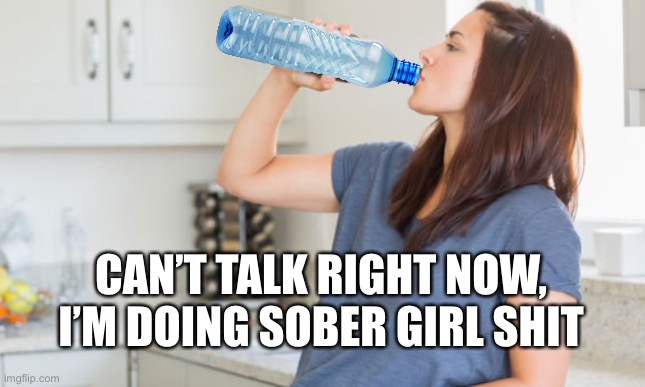 wine | CAN’T TALK RIGHT NOW, I’M DOING SOBER GIRL SHIT | image tagged in wine,water bottle,sober | made w/ Imgflip meme maker