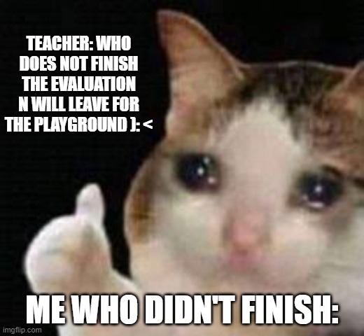 Approved crying cat | TEACHER: WHO DOES NOT FINISH THE EVALUATION N WILL LEAVE FOR THE PLAYGROUND ): <; ME WHO DIDN'T FINISH: | image tagged in approved crying cat | made w/ Imgflip meme maker