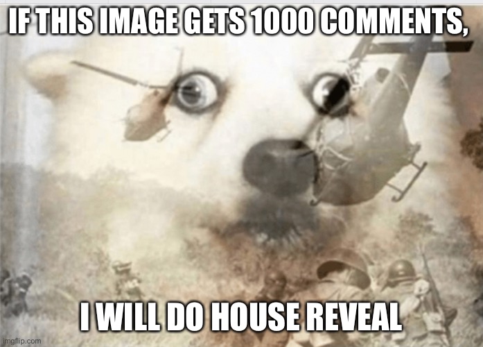 PTSD dog | IF THIS IMAGE GETS 1000 COMMENTS, I WILL DO HOUSE REVEAL | image tagged in ptsd dog | made w/ Imgflip meme maker
