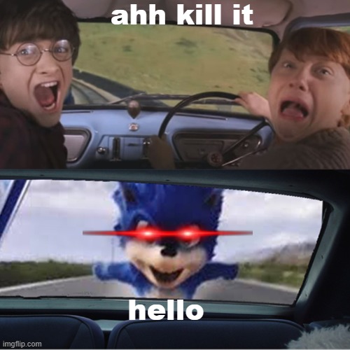 sonic harry views | ahh kill it; hello | image tagged in sonic chasing harry and ron | made w/ Imgflip meme maker