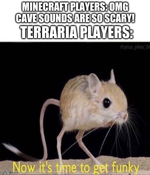 terraria cave tunes are the GOAT | MINECRAFT PLAYERS: OMG CAVE SOUNDS ARE SO SCARY! TERRARIA PLAYERS: | image tagged in now its time to get funky | made w/ Imgflip meme maker