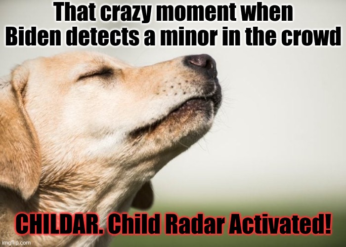 CHILDAR | That crazy moment when Biden detects a minor in the crowd; CHILDAR. Child Radar Activated! | image tagged in creepl joe biden,joe biden,joe bama | made w/ Imgflip meme maker