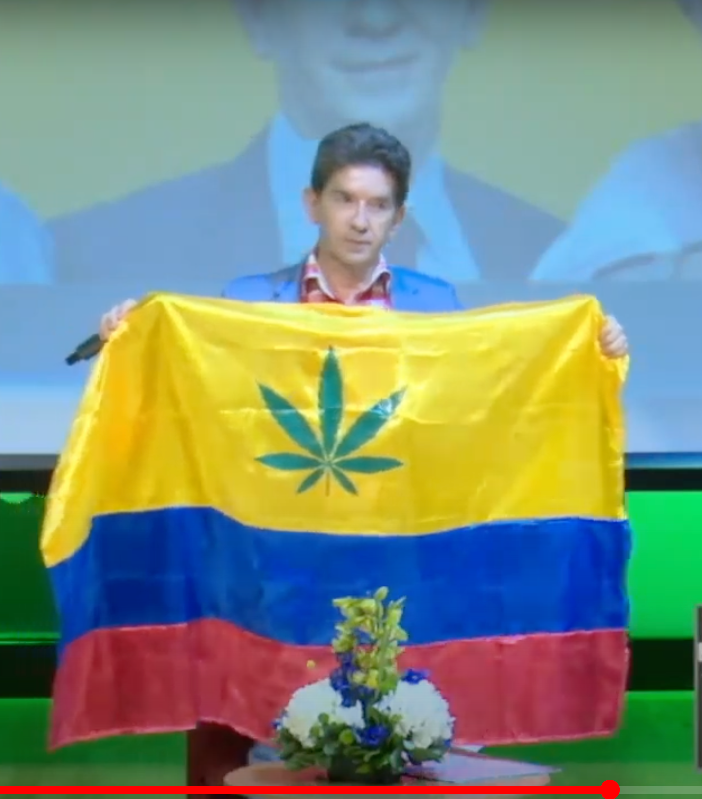 Luis Perez bandera cannabis Blank Meme Template