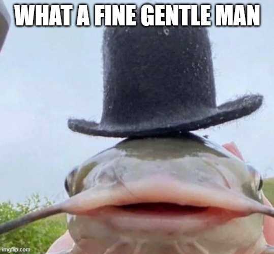 Fib | WHAT A FINE GENTLE MAN | image tagged in fib | made w/ Imgflip meme maker