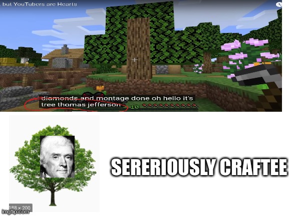 SERERIOUSLY CRAFTEE | image tagged in tree thomas jefferson | made w/ Imgflip meme maker
