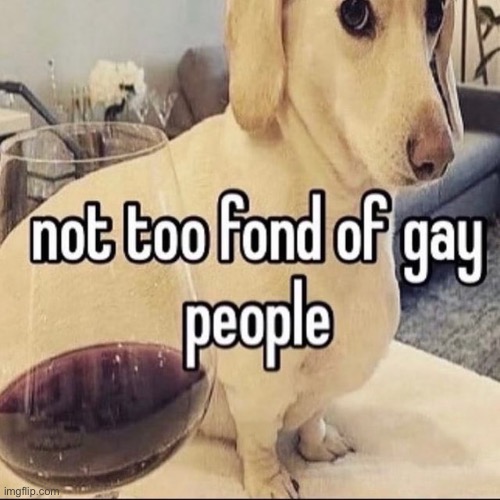 POV: you are the certain owner of a burger with a hotdog in it | made w/ Imgflip meme maker