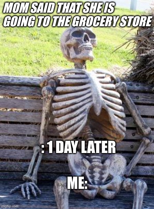 so true | MOM SAID THAT SHE IS GOING TO THE GROCERY STORE; : 1 DAY LATER; ME: | image tagged in memes,waiting skeleton | made w/ Imgflip meme maker