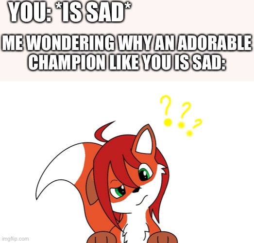 *confusled* | YOU: *IS SAD*; ME WONDERING WHY AN ADORABLE CHAMPION LIKE YOU IS SAD: | image tagged in furry,wholesome | made w/ Imgflip meme maker