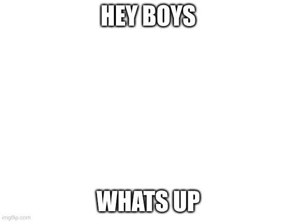 Blank White Template | HEY BOYS; WHATS UP | image tagged in blank white template | made w/ Imgflip meme maker